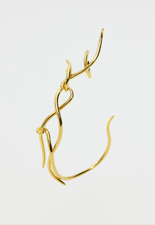Odonatia